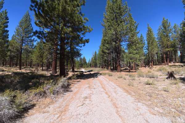 Old Rail Cutoff
