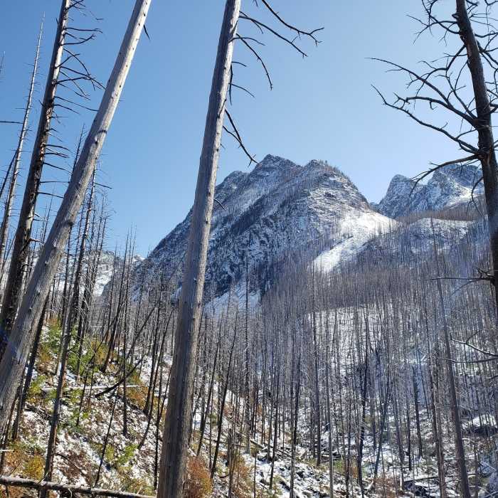 Near South Fork Deep Creek Trail