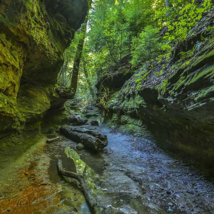 Near Rocky Hollow Falls Canyon Nature Preserve: Trail 3 Near Rocky Hollow Falls Canyon Nature Preserve: Trail 3