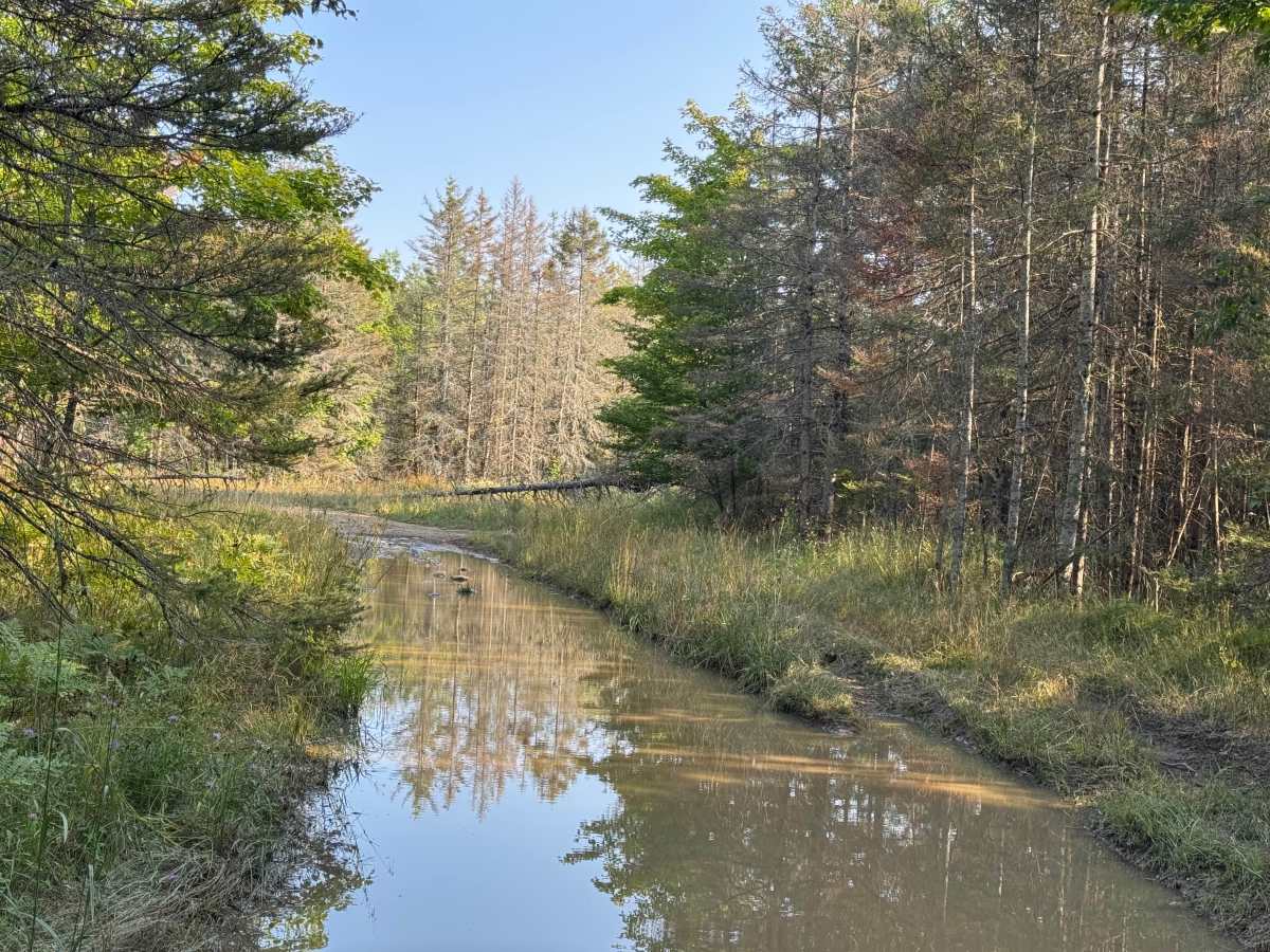 Island Isolation Trail photo 5