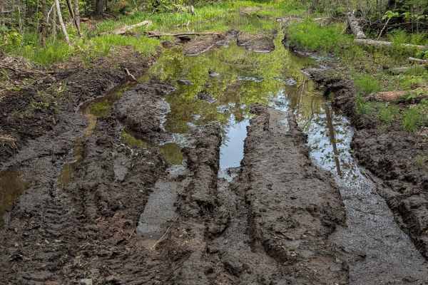 Bald Mountain Trail