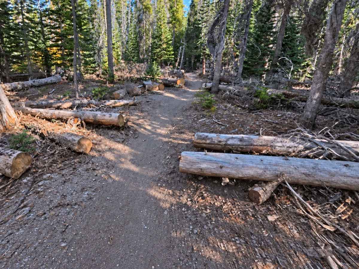FS 3S109 Singletrack photo 5