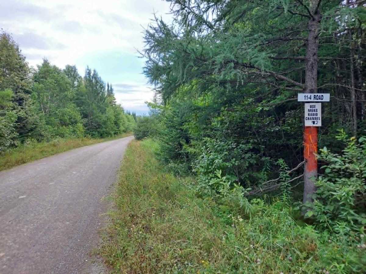 11-4 Road trail photo