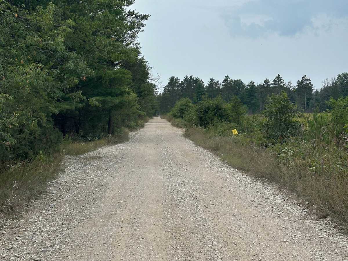Doe Road photo 5