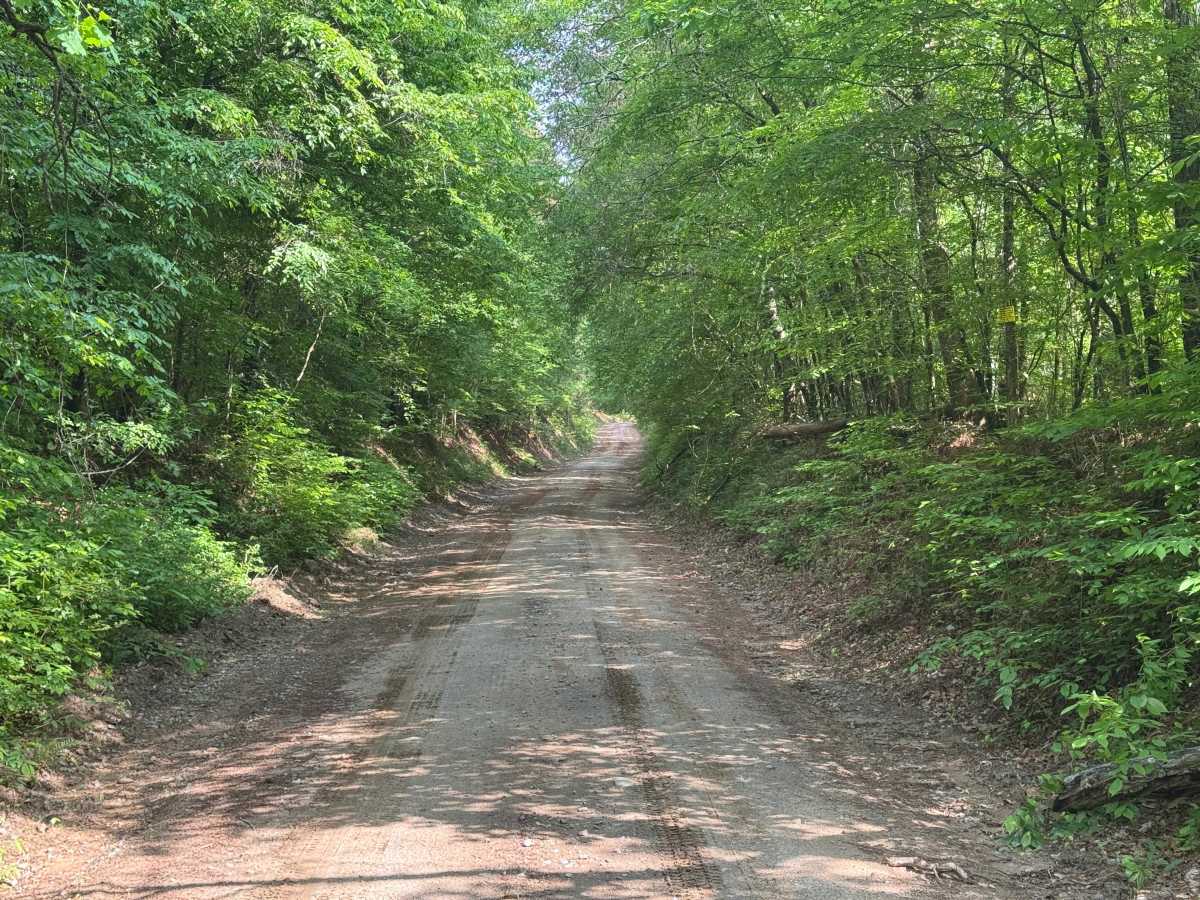 Reids Road photo 3