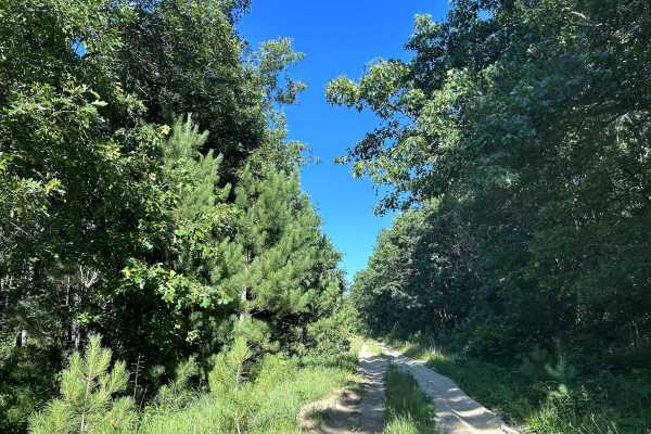 Bell Mound Trail