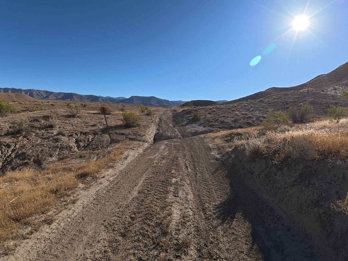 BLM 191 photo 5