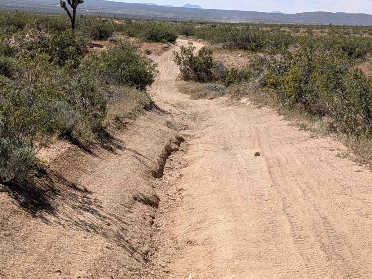 BLM SC82 photo 3