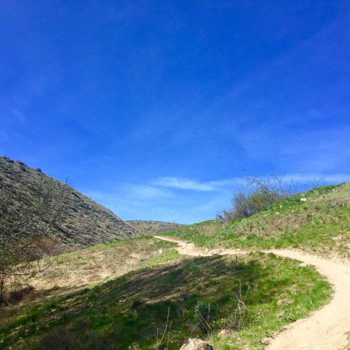 Near Umtanum Ridge Crest Trail