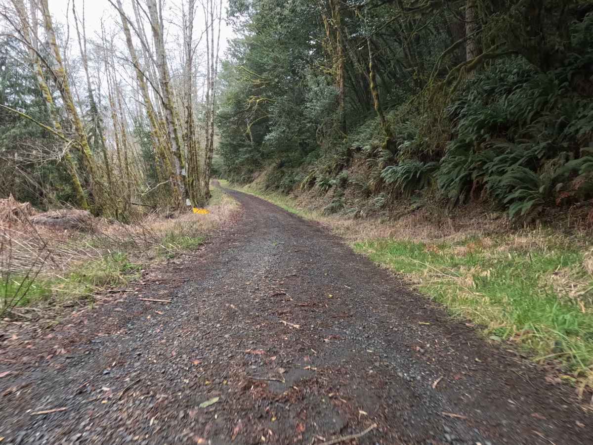Tenmile Butte Road - 3500 photo 2