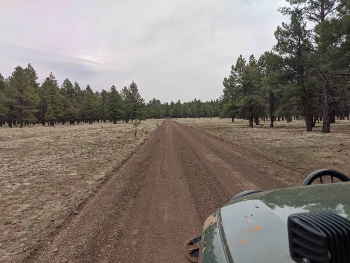 Road 786 photo 5