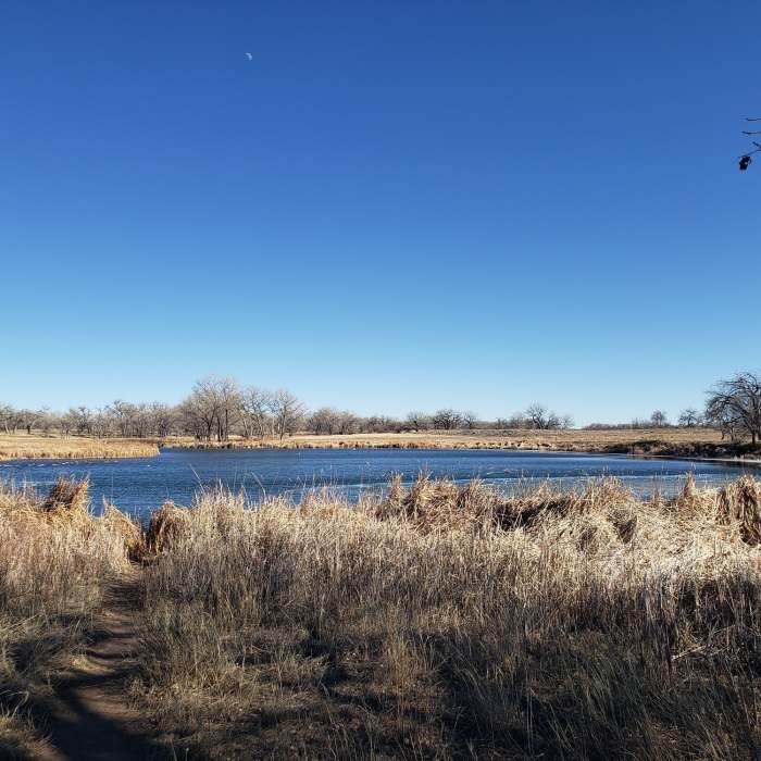 Near Rocky Mountain Greenway Trail