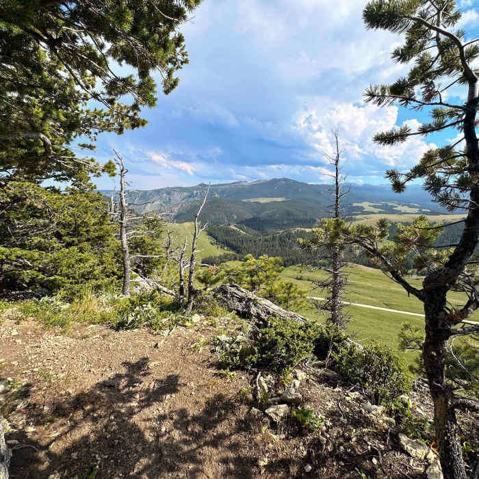 Near Bear Knuckle Trail