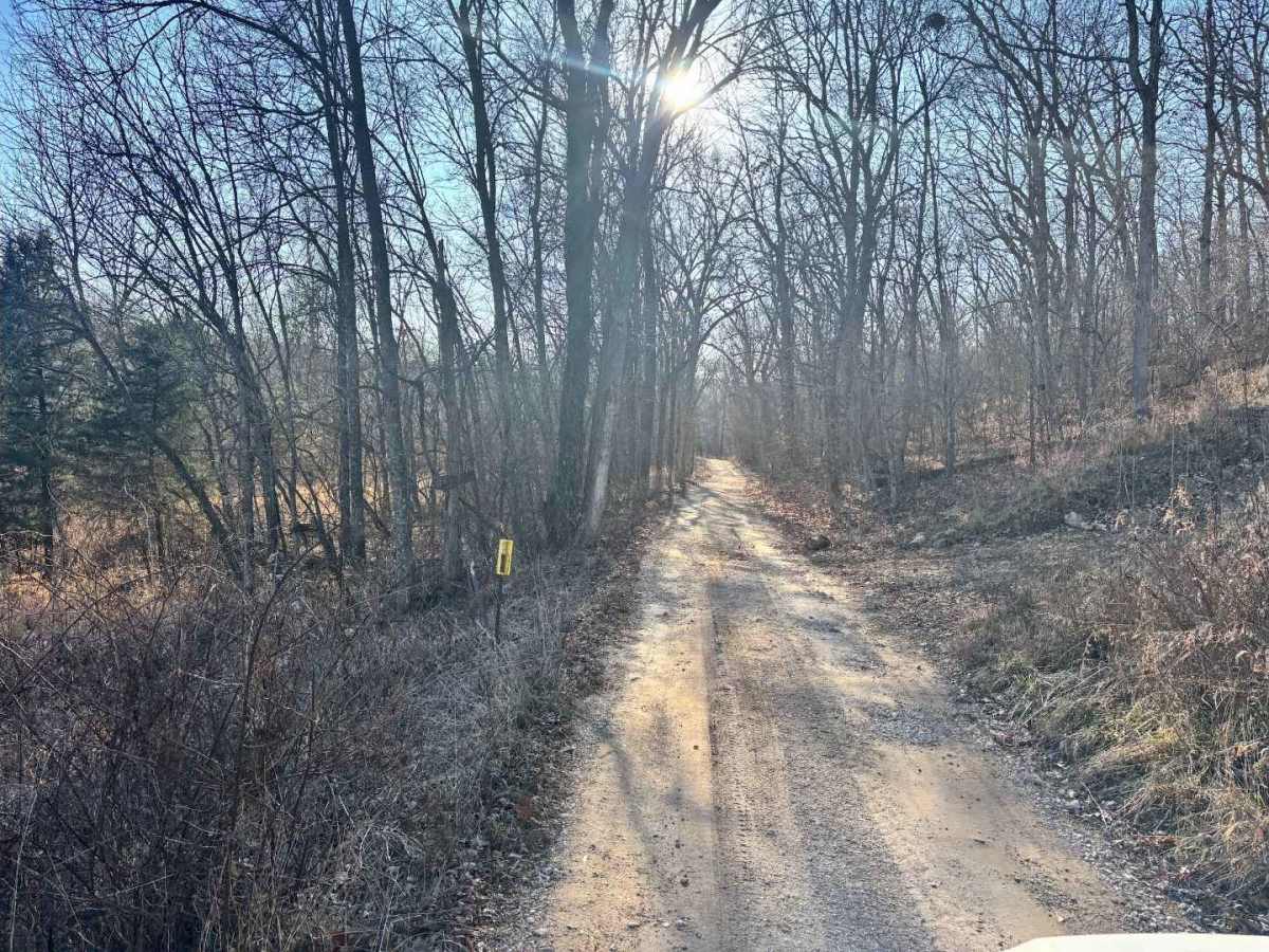 Coffee Creek Road  photo 4