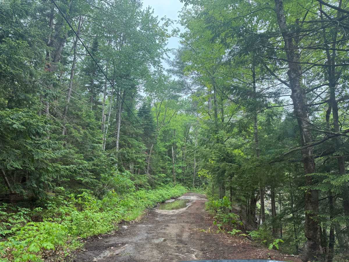 Ruger Estate Boundary photo 4