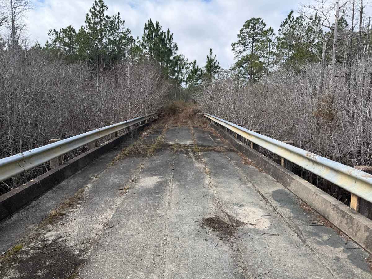 Smith  Creek Landing “Bridge Out” trail photo