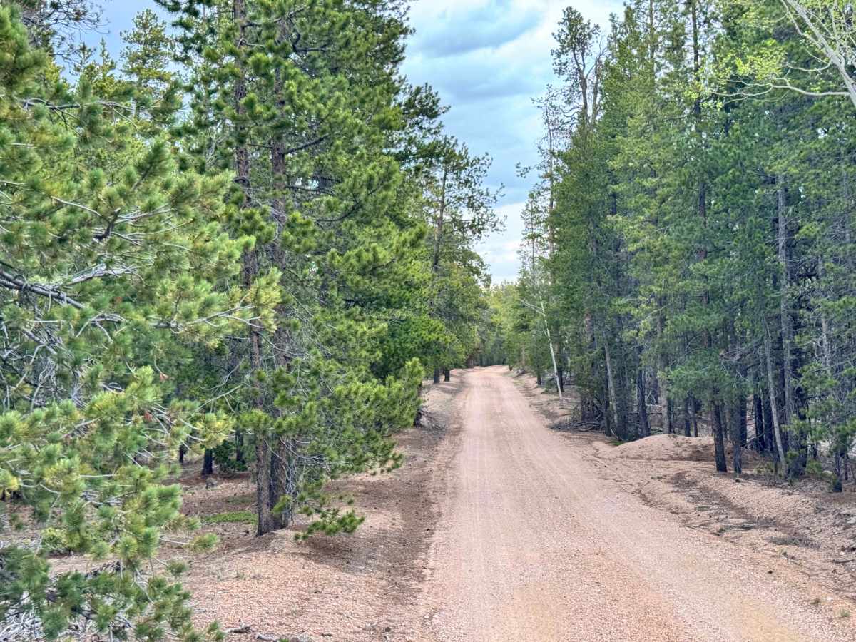 Saylor Park Rd FS 325 photo 4