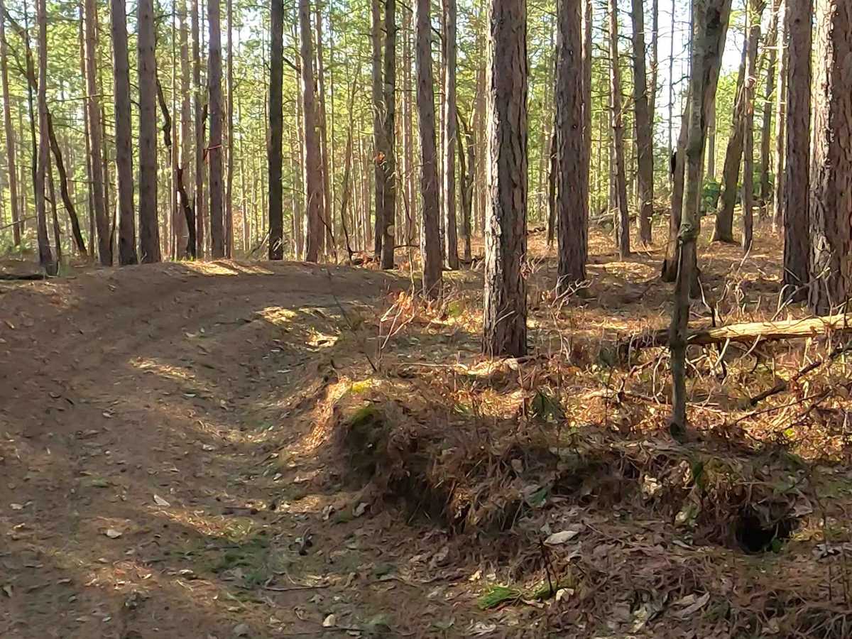ORV H-57 : Mack Lake Loop Trail SW photo 3