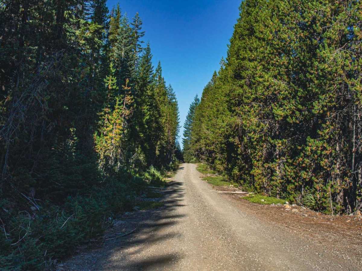 Lost Creek Loop photo 3