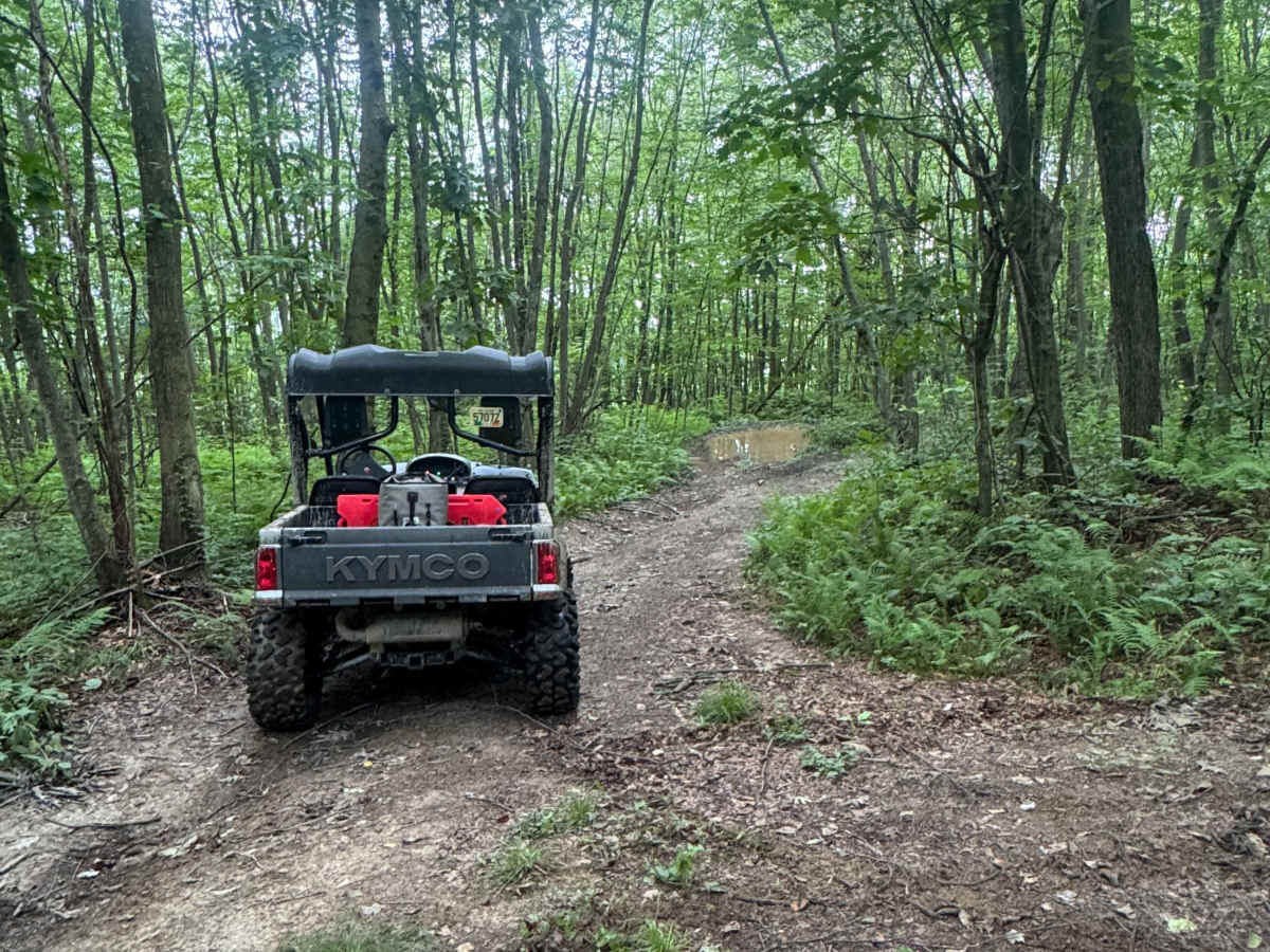 Trail 84 trail photo