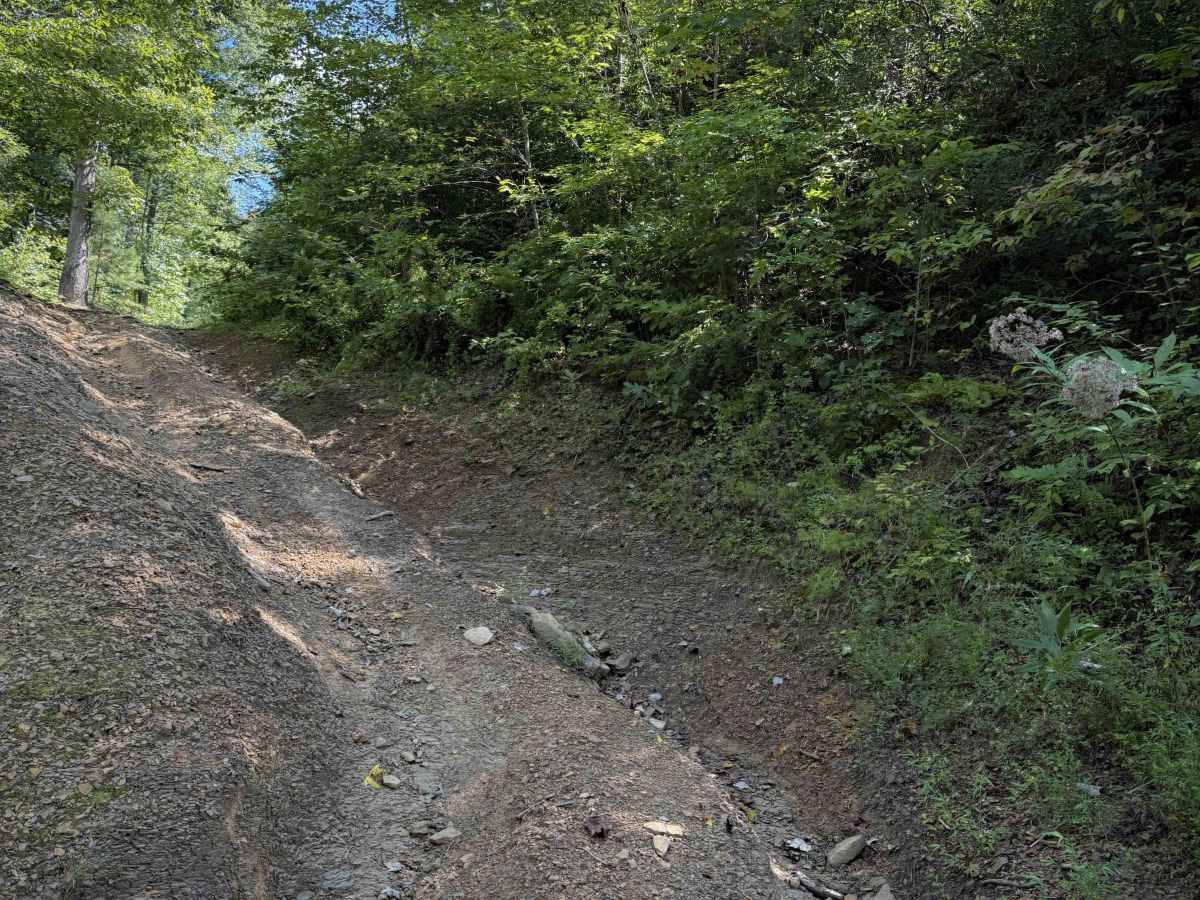 Pond Ridge  photo 3