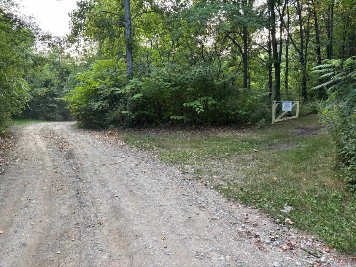 Williams Road photo 4