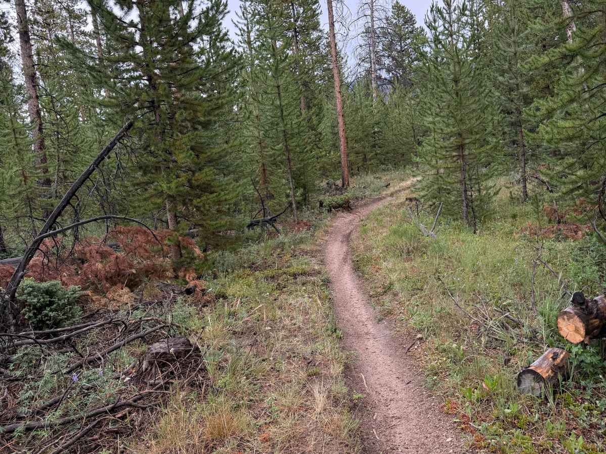 Whiskey Draw Trail photo 4