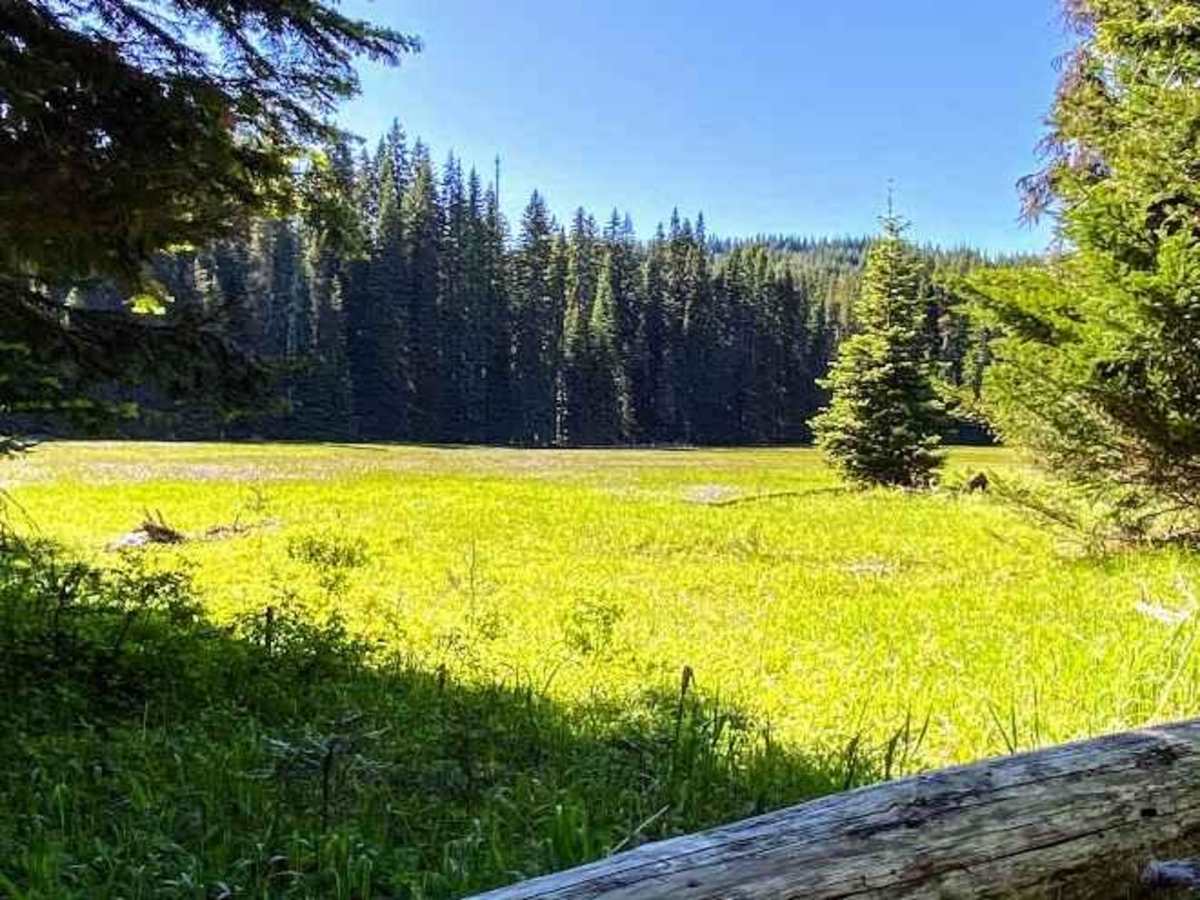 Washington Backcountry Discovery Route Section 1 photo 5