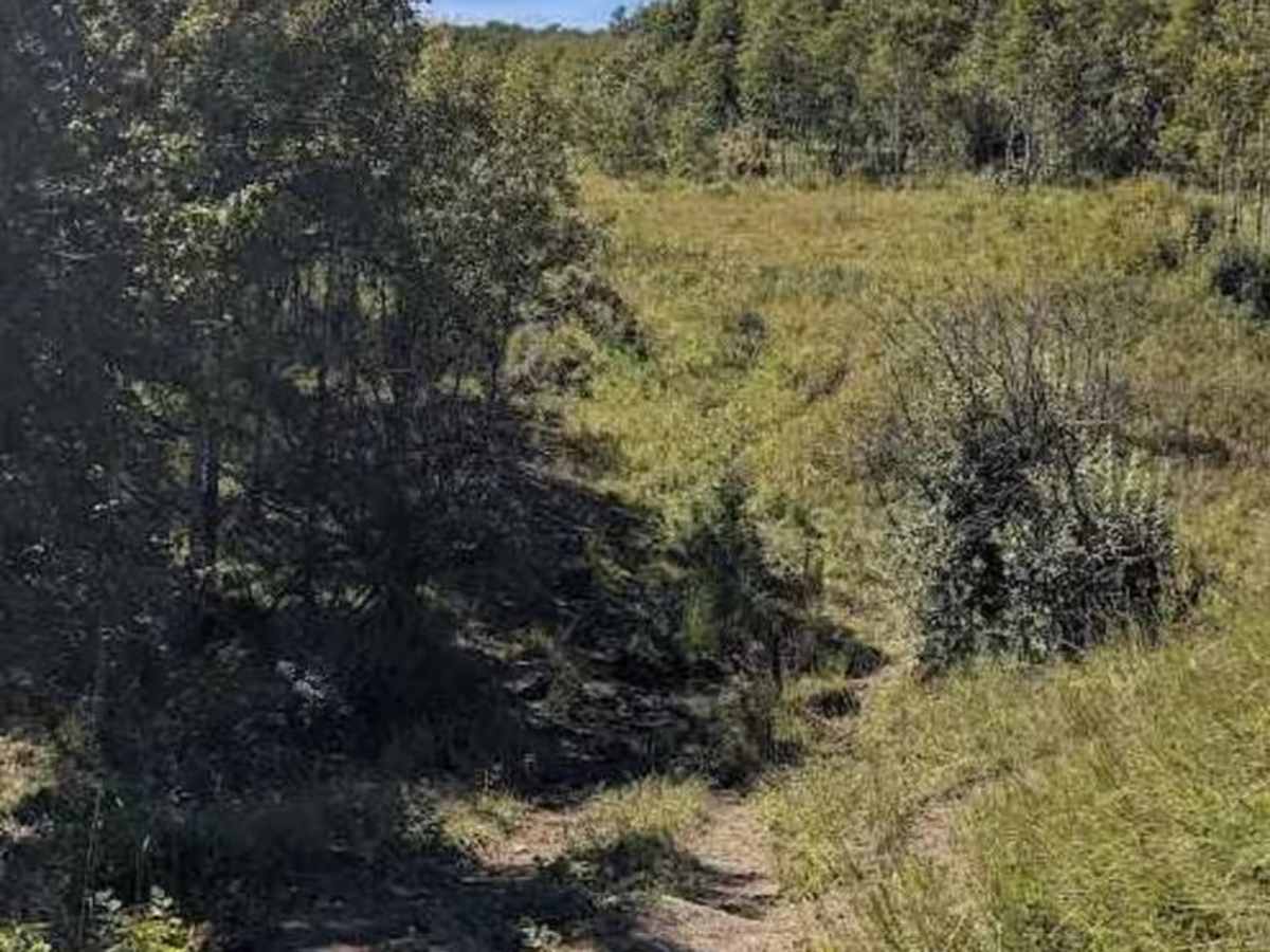 Porcupine Hills Trail 46 photo 4