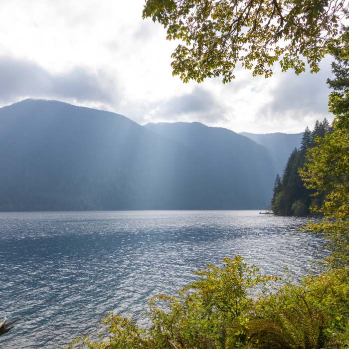 Near Olympic Discovery Trail