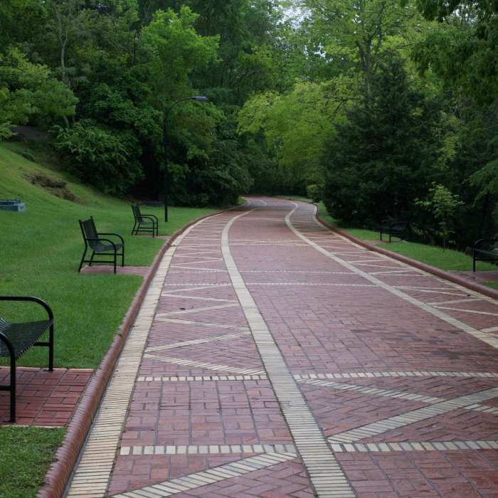 Near Oak Trail