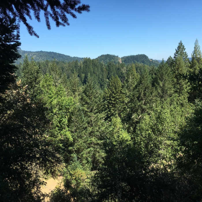 Rare view from Pool Ridge Trail. Near Pool Ridge Connector