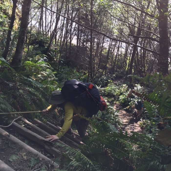 One of the rope ladders on the trail. Near Olympic National Park South Coast Route