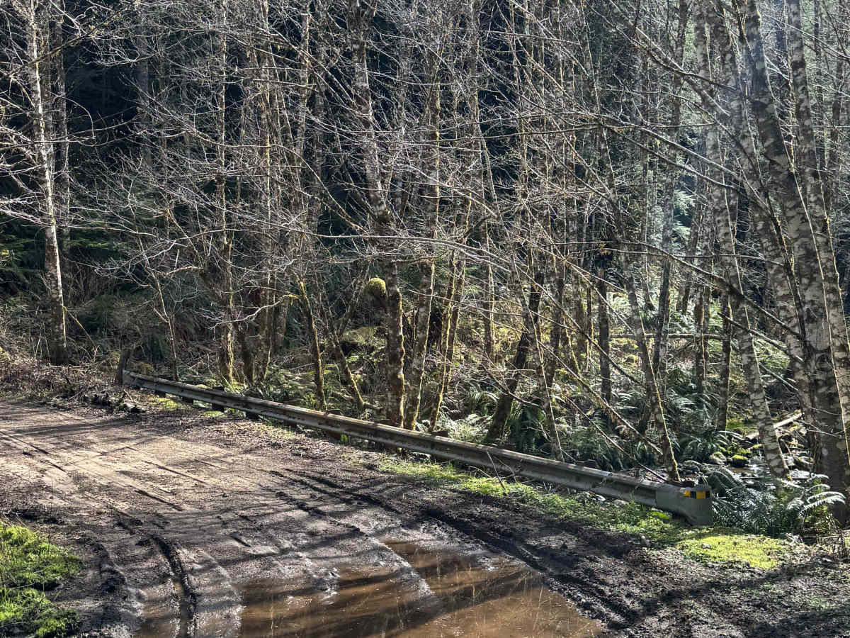 Wildcat Loop 2 - FS 7400 photo 6