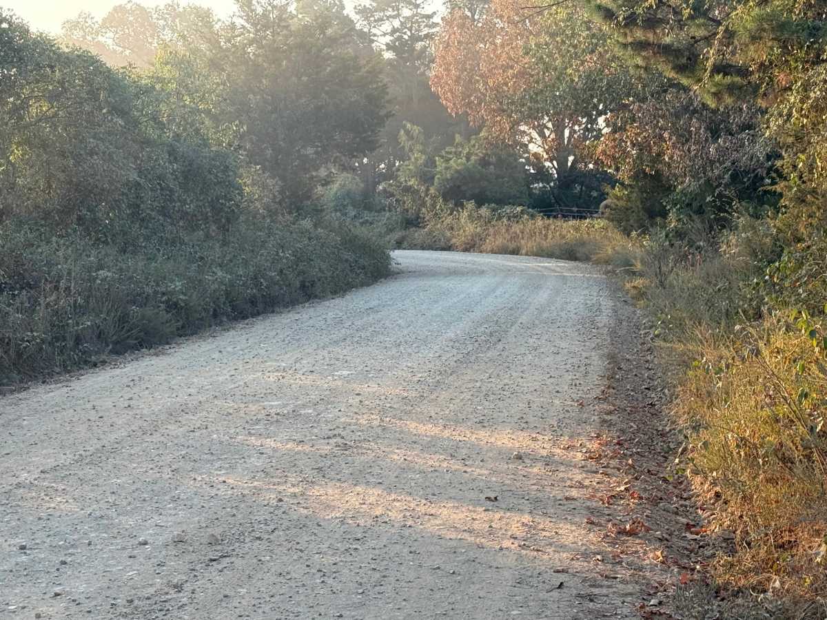 Polk Road 32 photo 2