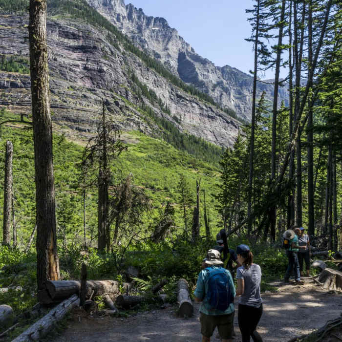 Near Avalanche Lake via Trail of the Cedars