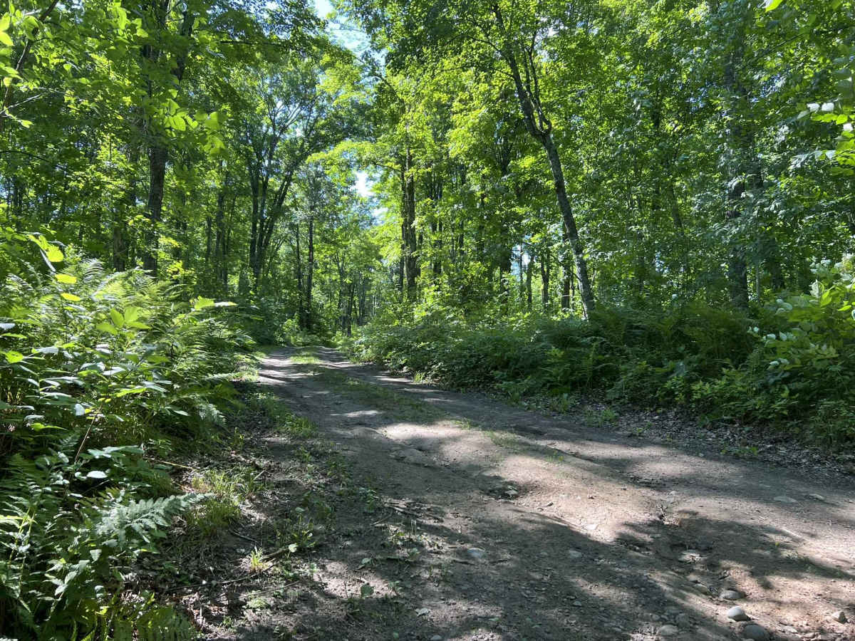 FS 2162A trail photo