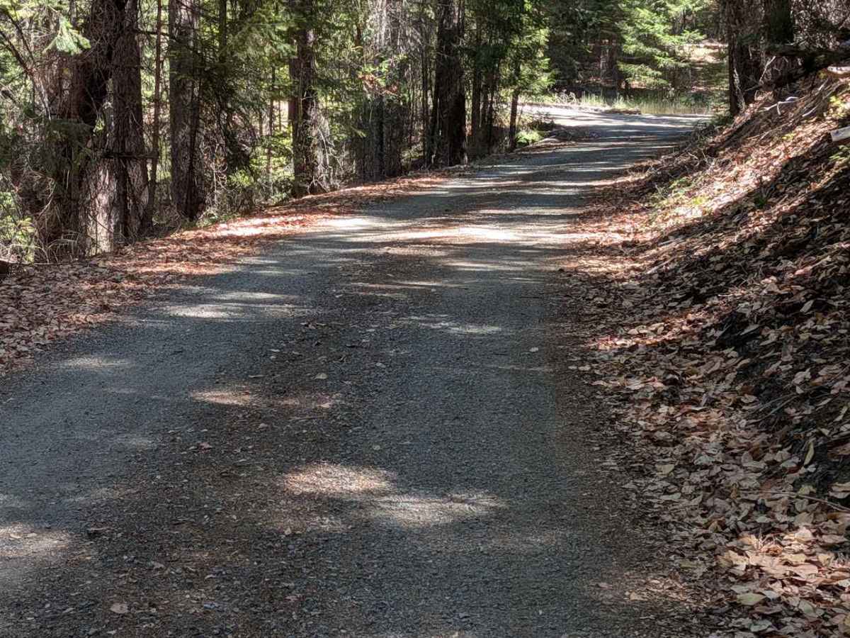 Hall City Creek Road - FS 29N07  photo 3