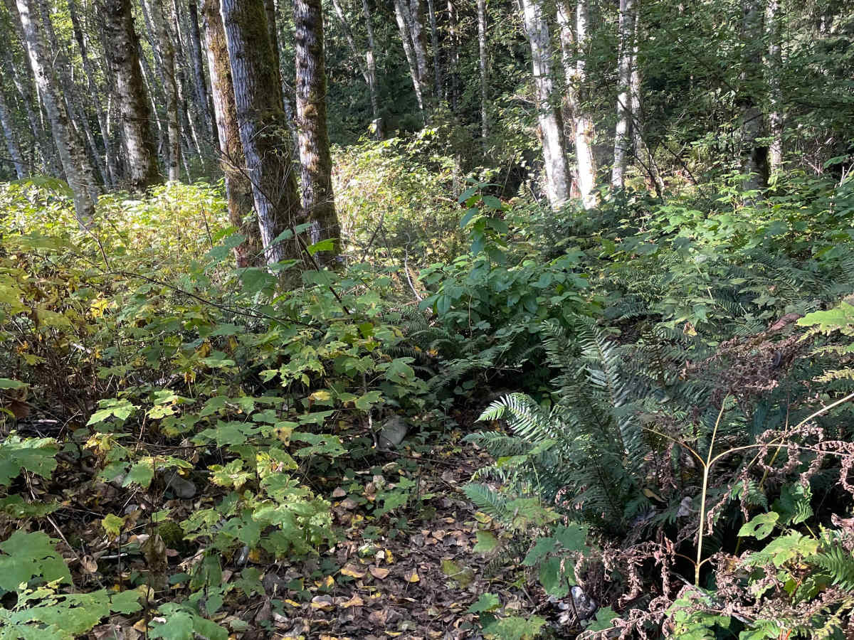 Entrance Trail photo 6