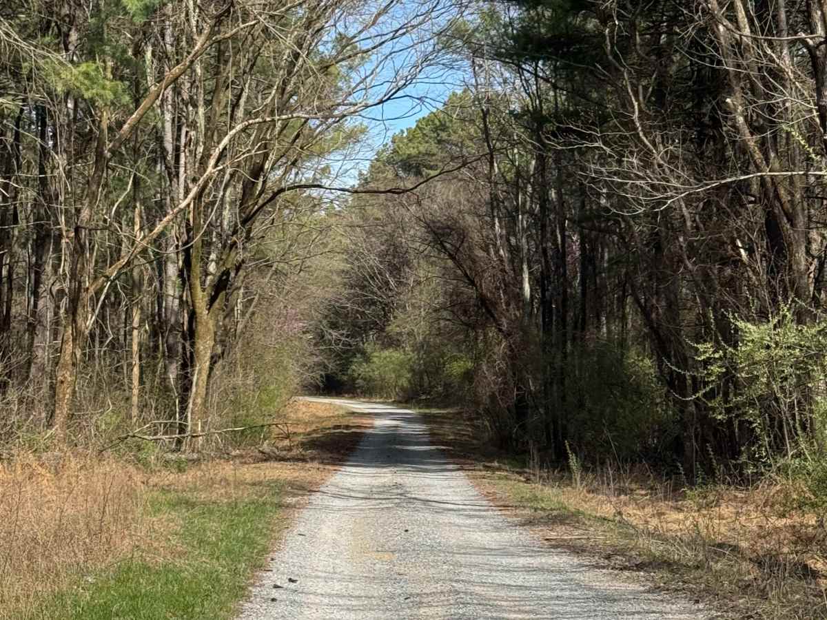 Hickory Point Boat Ramp - FS 871 trail photo