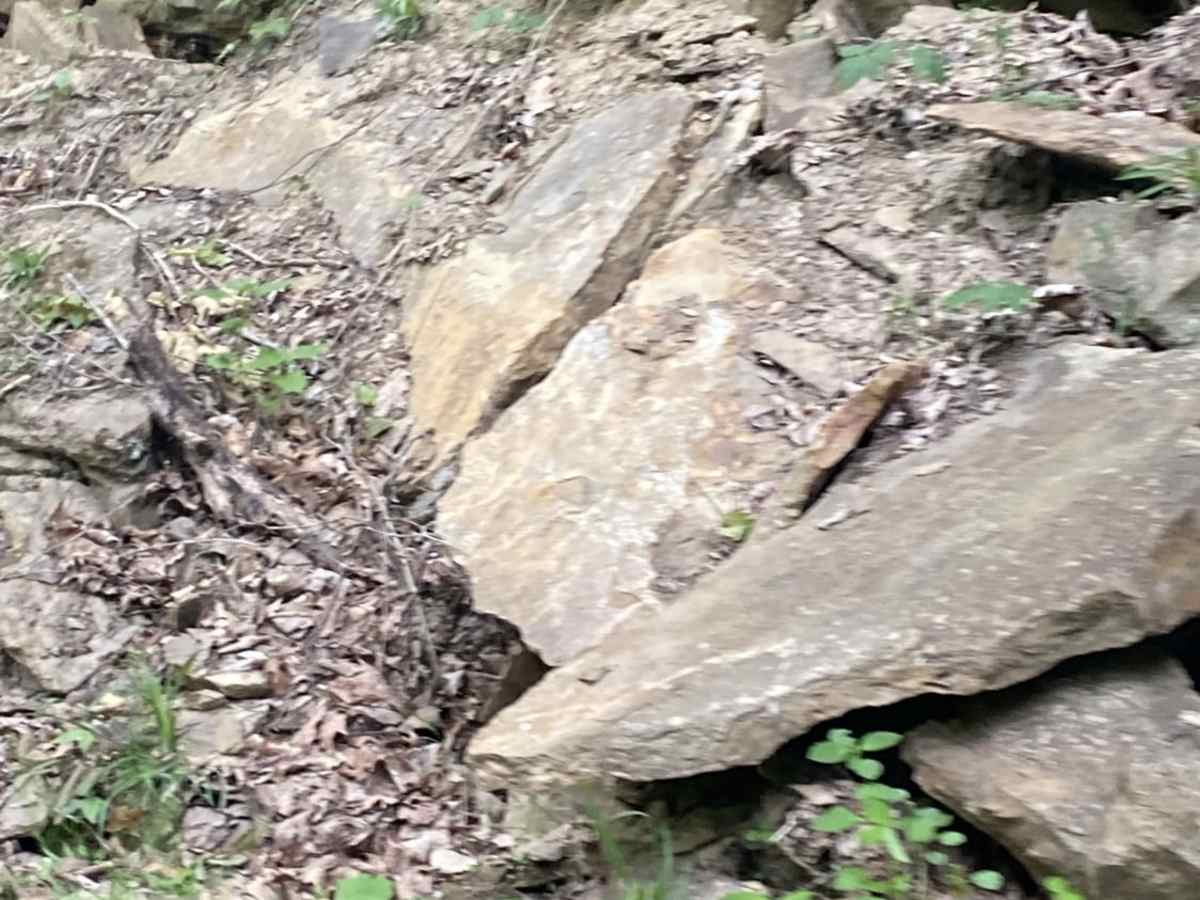 New River Gorge photo 5