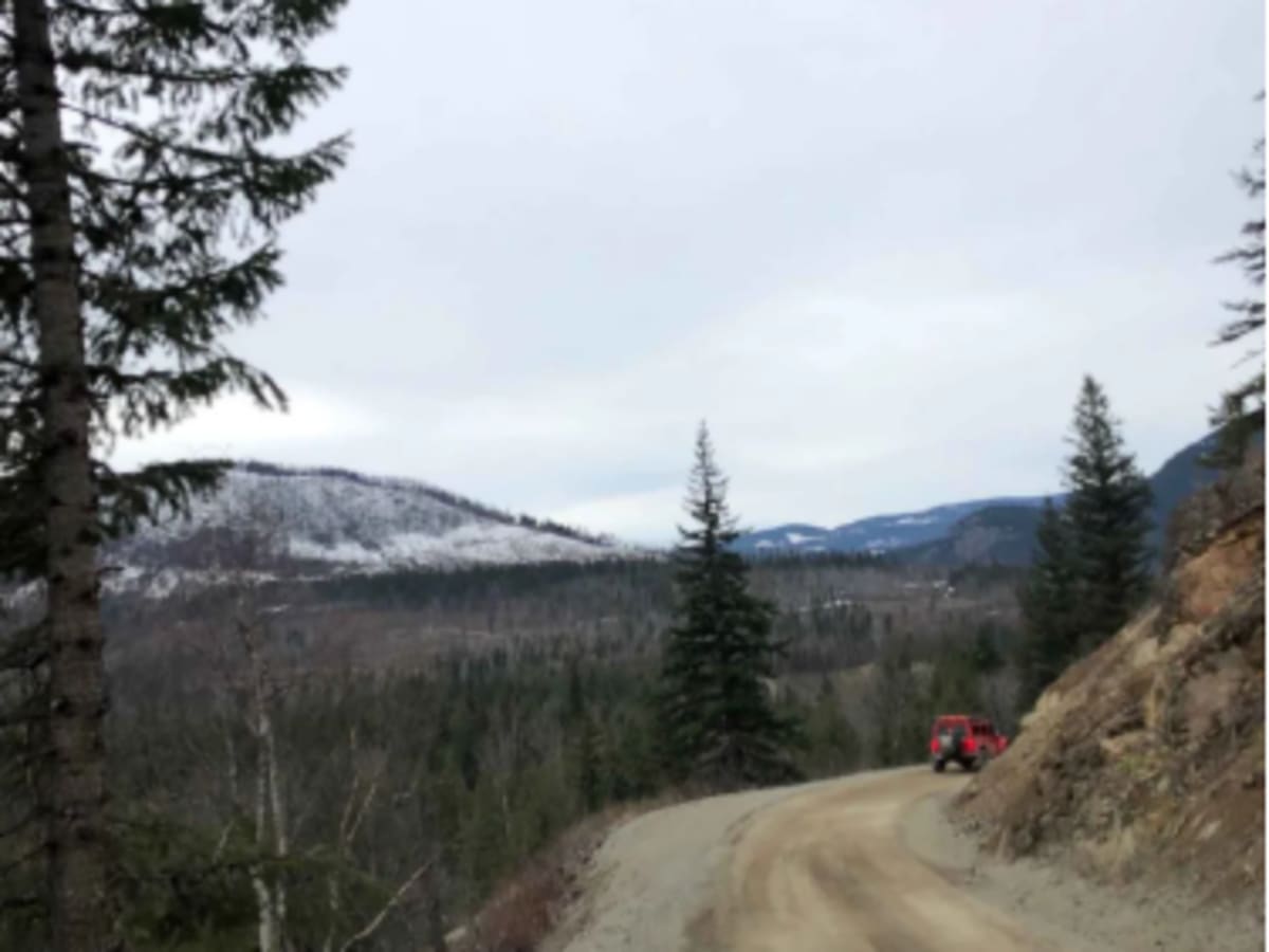 Dunn Lake Road photo 6