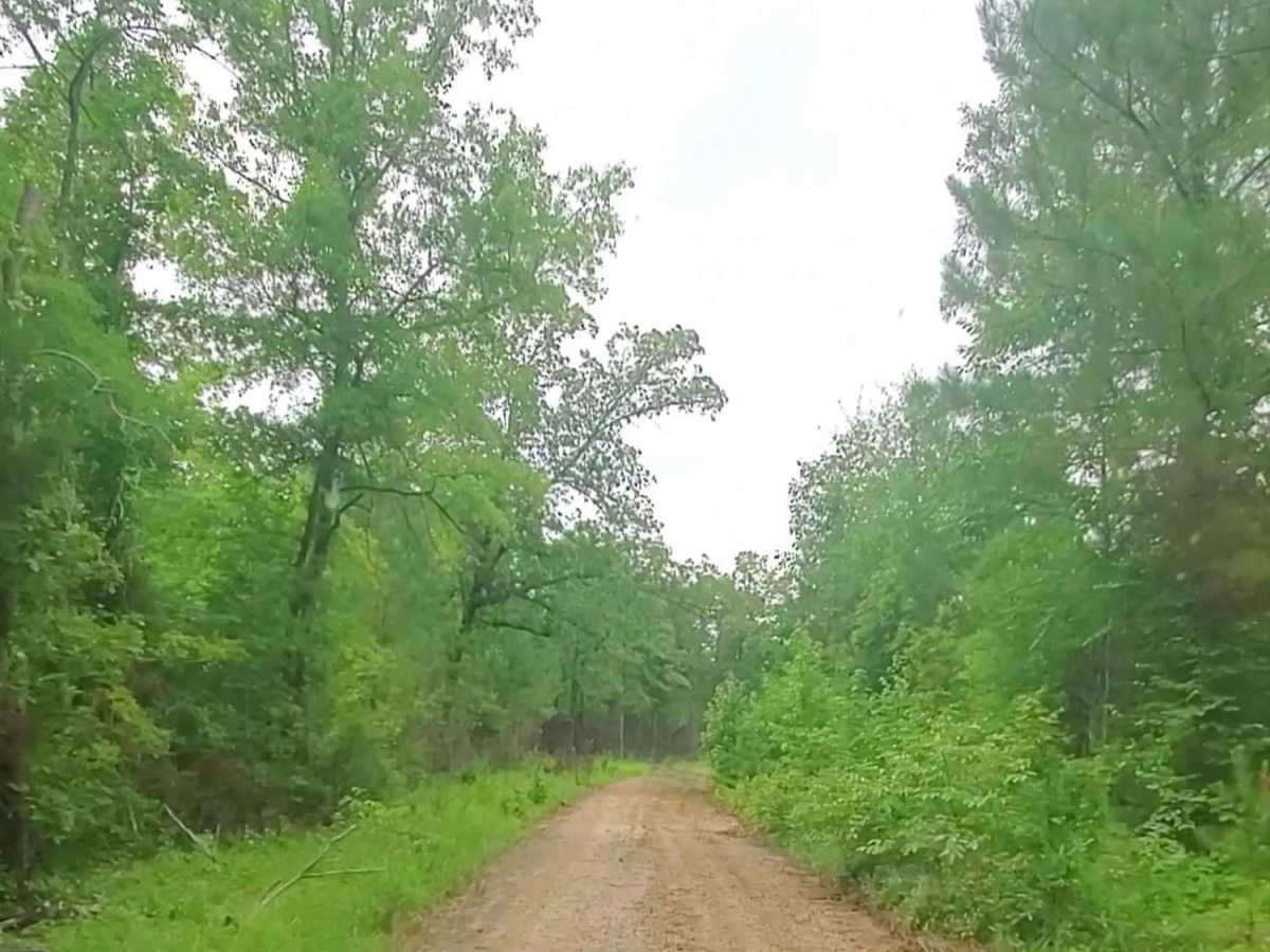 Price Road (615) photo 4