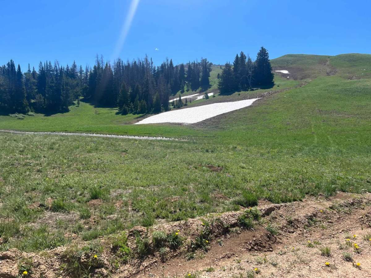 Gravelly Range South (FS290) photo 2
