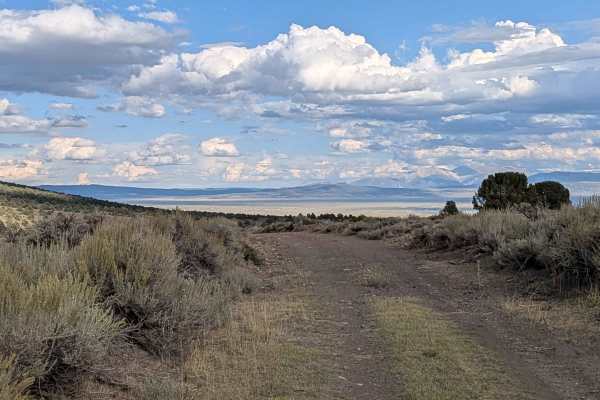 Coyote Springs Road