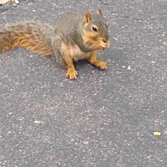 Near Sedgwick County Park Outer Loop