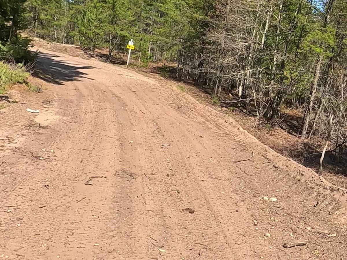 Shelldrake Road photo 6