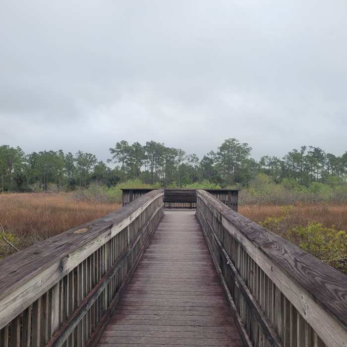 Overlook off the North Marsh Trail. Near North Marsh Trail
