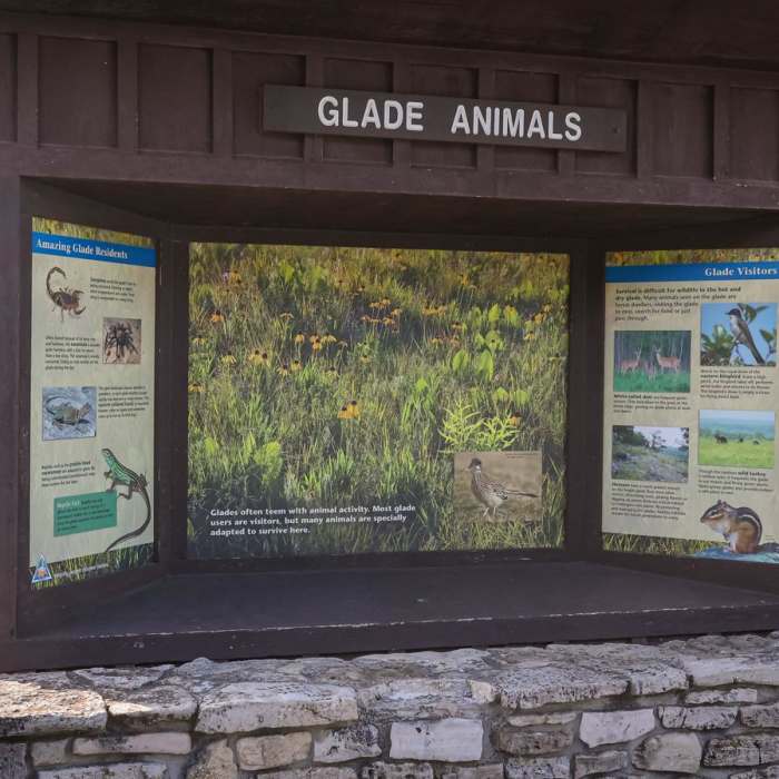 Near Streamside Trail