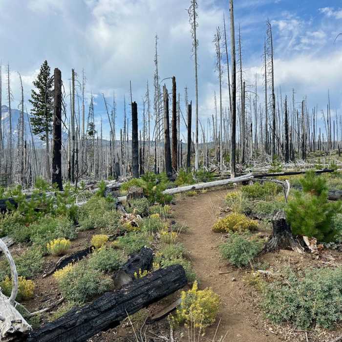 Near South Matthieu Lake via Scott Pass Trailhead
